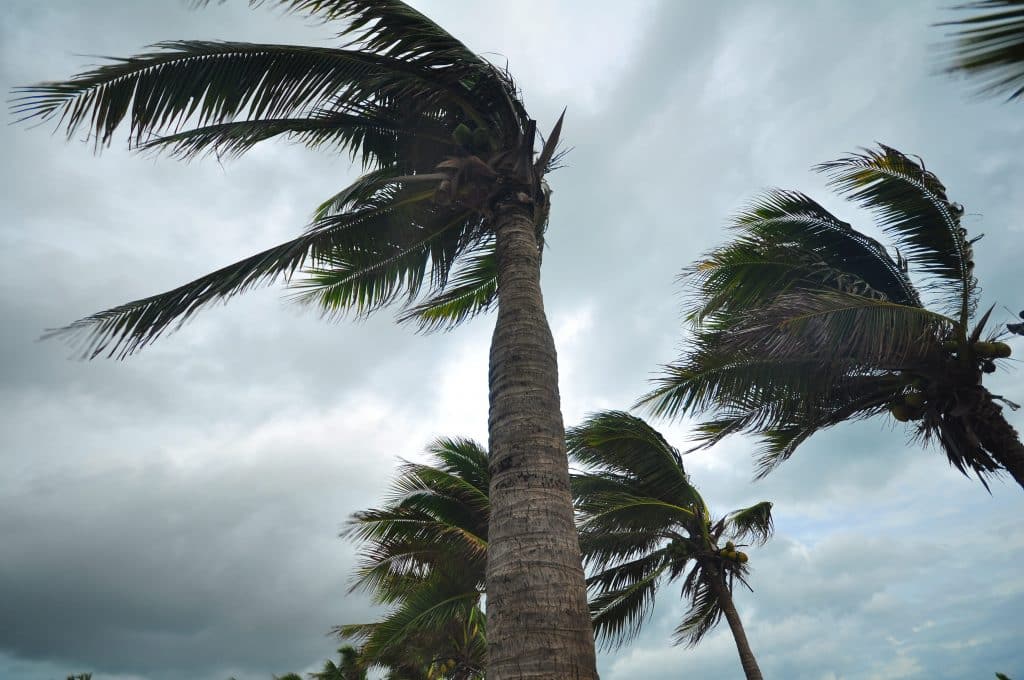 Storm Damage Restoration Experts in North Miami Florida​