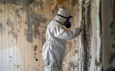 Mold Restoration: How To Reclaim Your Property from Mold