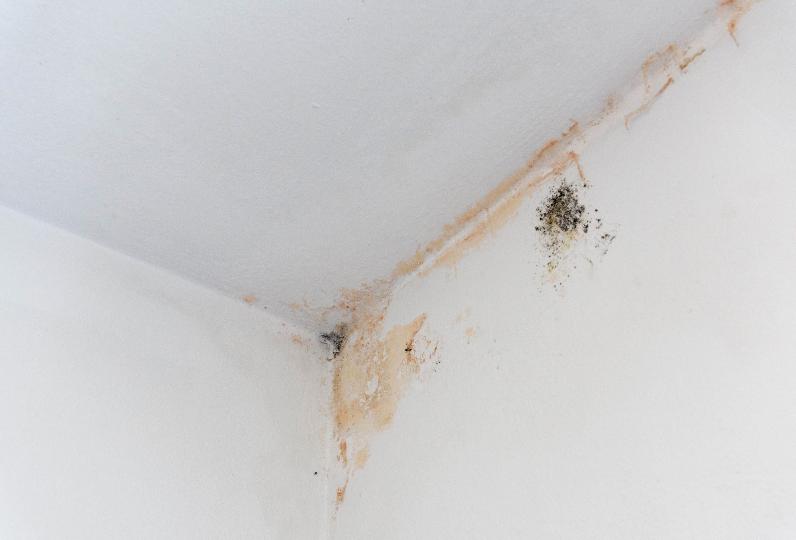 OTM Restoration disaster restoration and damage cleanup. Mold Damage on Interior wall of home in <a href=