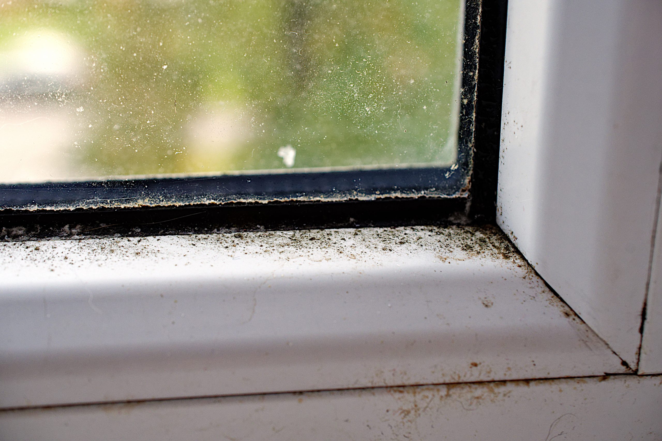 window white dirt walls joint moldy mold bacteria